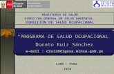 MINISTERIO DE SALUD DIRECCION GENERAL DE SALUD AMBIENTAL DIRECCIÓN DE SALUD OCUPACIONAL