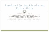 Producción Hortícola en Entre Ríos