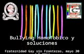 Bullying  Homofobico  y  soluciones Fraternidad  Gay sin  Fronteras , mayo 30 del 2014