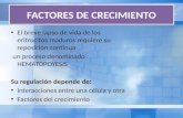 FACTORES DE CRECIMIENTO