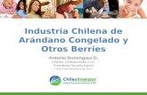 Industria Chilena de Arándano Congelado y Otros Berries