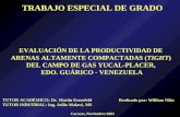 EVALUACIÓN DE LA PRODUCTIVIDAD DE  ARENAS ALTAMENTE COMPACTADAS ( TIGHT )