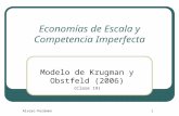 Economías de Escala y Competencia Imperfecta