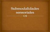 Submodalidades  sensoriales