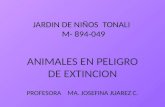 JARDIN DE NIÑOS  TONALI   M-  894-049