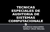 TECNICAS ESPECIALES DE AUDITORIA DE SISTEMAS COMPUTACIONALES