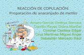 REACCIÓN DE COPULACIÓN: Preparación de anaranjado de metilo