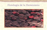 Fisiología de la Hemostasia