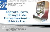Trabajo  Profesional de Ingeniería Electrónica  (66.99 )
