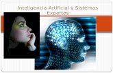 Inteligencia Artificial y Sistemas Expertos