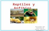 Reptiles y Anfibios