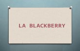 LA BLACKBERRY