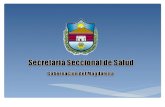Secretaria Seccional de Salud