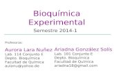 Bioqu ímica Experimental