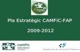 Pla Estratègic CAMFiC-FAP  2009-2012