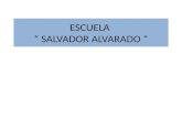 ESCUELA  “ SALVADOR ALVARADO “