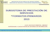 SUBSISTEMA DE PRESTACIÓN DE SERVICIOS FORMATOS PRIMARIOS  2013