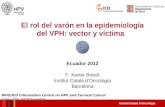El rol del varón en la epidemiología del VPH: vector y víctima