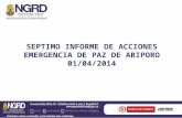 SEPTIMO  INFORME DE ACCIONES EMERGENCIA DE PAZ DE ARIPORO  01/04/2014