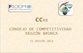 CC RB CONSEJO DE COMPETITIVIDAD  REGIÓN BRUNCA II SESIÓN 2012