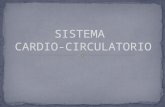 SISTEMA  CARDIO-CIRCULATORIO