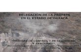 DELEGACIÓN DE LA PROFEPA  EN EL ESTADO DE OAXACA.