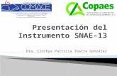 Presentación del Instrumento SNAE-13