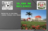 50,000  mw nucleares.