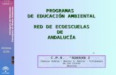PROGRAMAS  DE EDUCACIÓN AMBIENTAL RED DE ECOESCUELAS DE  ANDALUCÍA