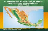 LA URBANIZACIÓN METROPOLITANA EN MÉXICO: CARACTERÍSTICAS SOCIOECONÓMICAS Y  NORMATIVIDAD