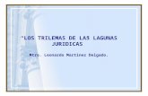 “LOS TRILEMAS DE LAS LAGUNAS JURIDICAS” Mtro. Leonardo Martínez Delgado.