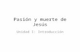 Pasión y muerte de Jesús