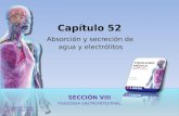 Capítulo 52 Absorción y secreción de  agua  y electrólitos