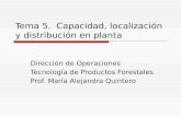 Tema 5.  Capacidad, localización y distribución en planta