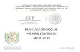 PLAN  ACADÉMICO DE  MEJORA CONTINUA  2013- 2014