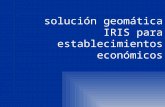 solución  geomática  IRIS para establecimientos económicos