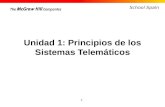 Unidad 1: Principios de los Sistemas Telemáticos