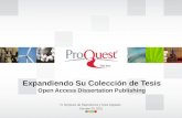 Expandiendo Su Colección de Tesis Open Access Dissertation Publishing