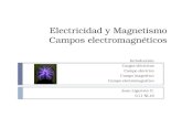 Electricidad y Magnetismo Campos electromagnéticos
