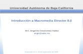 Introducción a Macromedia Director 8.0