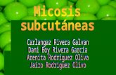 Micosis subcutáneas