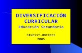 DIVERSIFICACIÓN CURRICULAR Educación Secundaria DINESST-UDCREES 2005