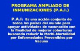 PROGRAMA AMPLIADO DE  INMUNIZACIONES (P.A.I.)