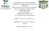 SECRETARIA  DE EDUCACION PÚBLICA DIRECCION GENERAL DE FORMACION DE DOCENTES