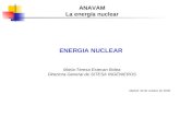 ENERGIA NUCLEAR  María-Teresa Estevan Bolea Directora General de SITESA INGENIEROS