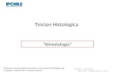 Tincion Histologica Professor: Verónica Pantoja . Lic. MSP.