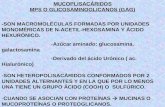 MUCOPLISACÁRIDOS MPS O GLICOSAMINOGLICANOS (GAG)