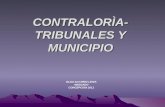 CONTRALORÌA-TRIBUNALES Y MUNICIPIO