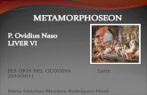 METAMORPHOSEON  P.  Ovidius  Naso LIVER VI