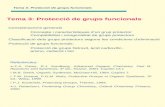 Tema 3. Protecció de grups funcionals